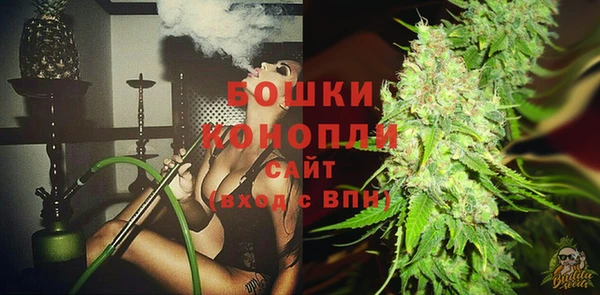 MESCALINE Аркадак