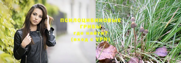 MESCALINE Аркадак