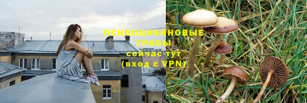 MESCALINE Арсеньев