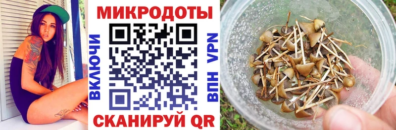 Псилоцибиновые грибы Psilocybe  дарнет шоп  Курган 