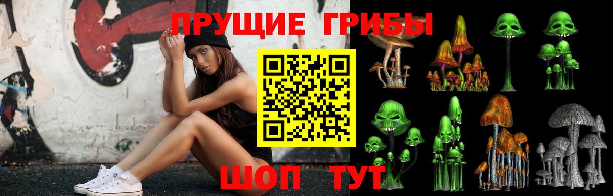 Псилоцибиновые грибы GOLDEN TEACHER  Вход с VPN  Курган  Галлюциногенные грибы Magic Shrooms 