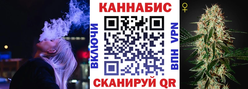 кракен как войти  Курган  Бошки марихуана планчик  наркошоп 